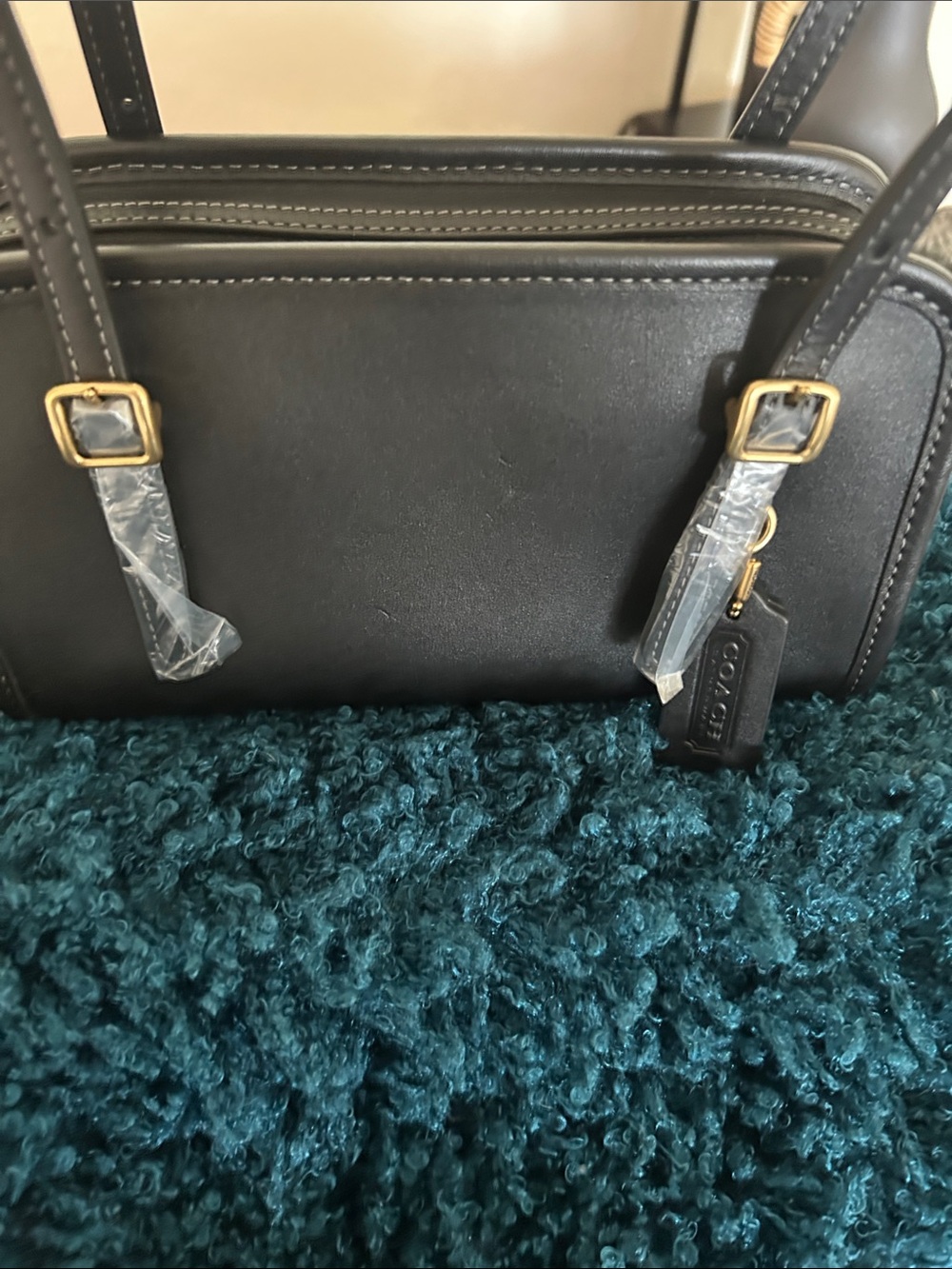 Coach Swing Zip Bag New